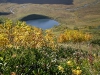 озеро Малая Дзитаку